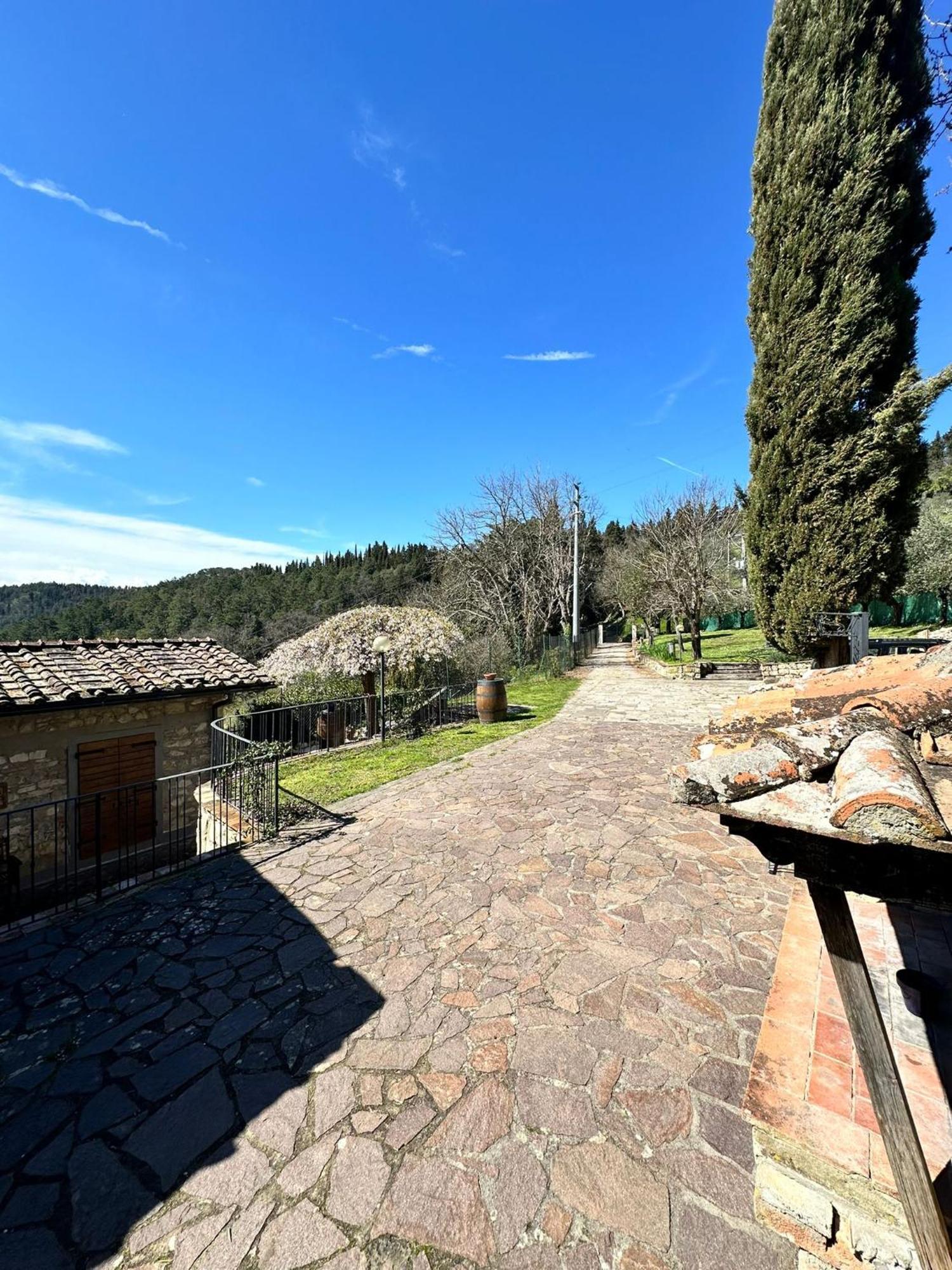 Agriturismo Tassinaia Pontassieve Exteriér fotografie