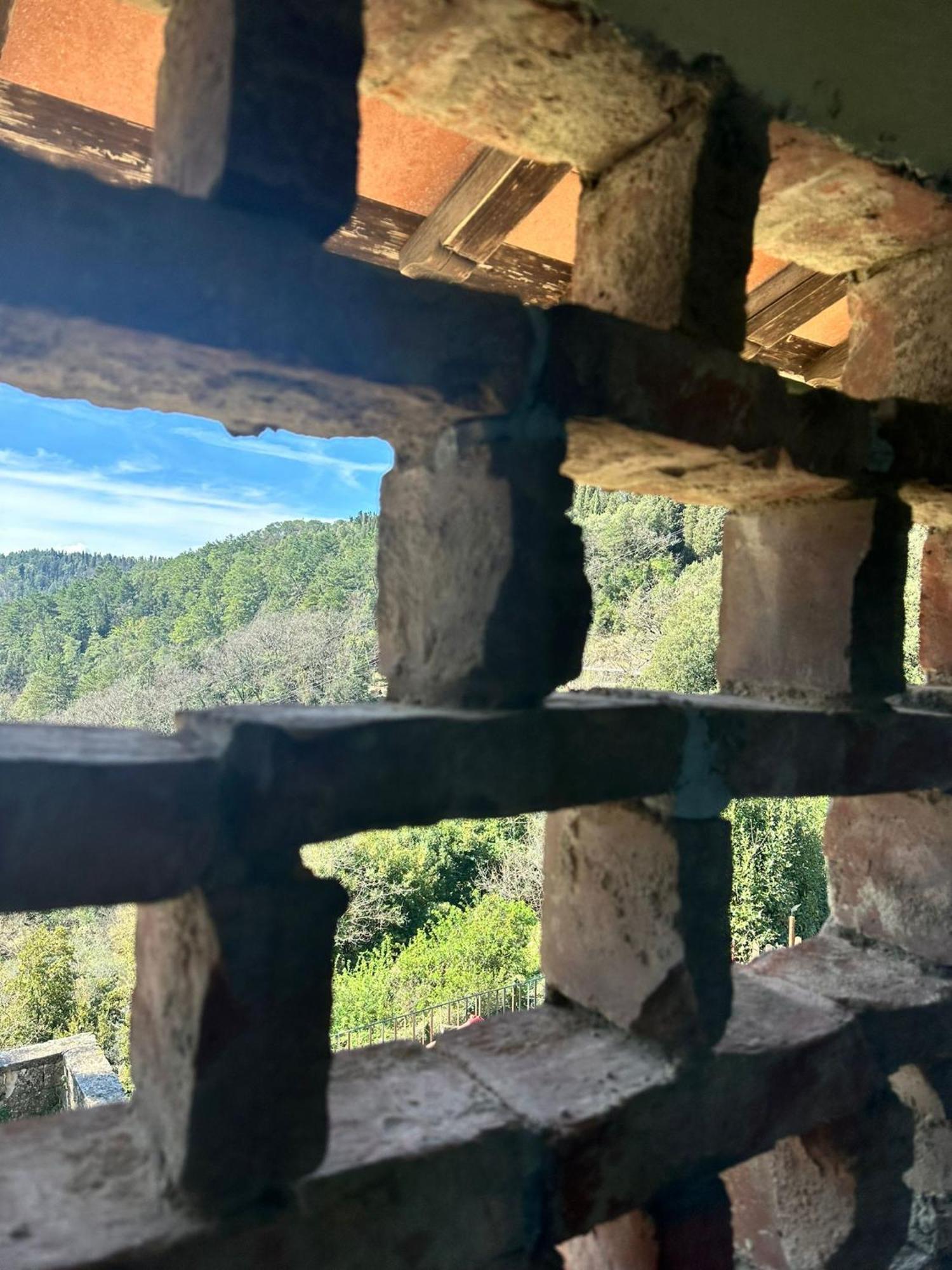 Agriturismo Tassinaia Pontassieve Exteriér fotografie
