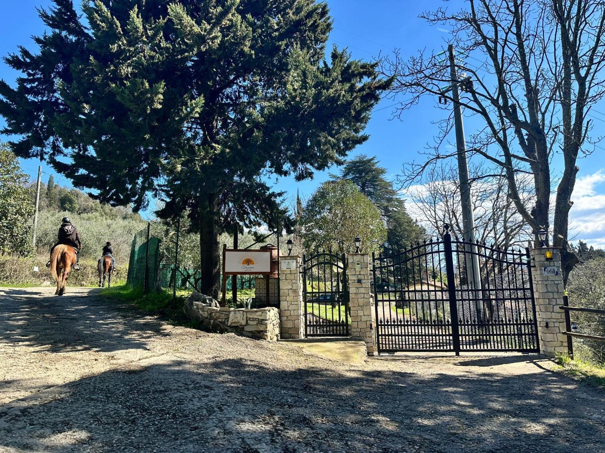 Agriturismo Tassinaia Pontassieve Exteriér fotografie